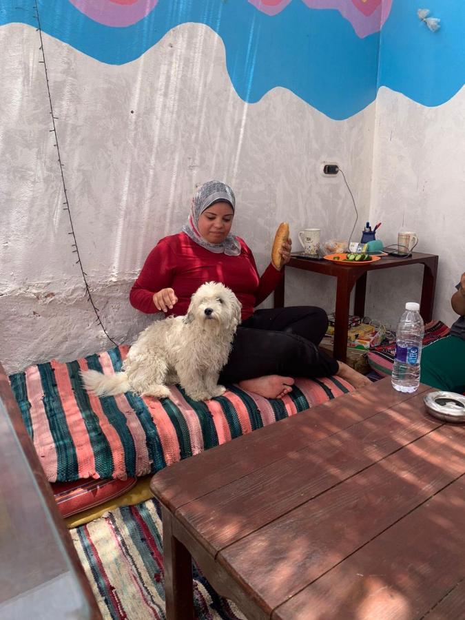 Dahab Tribe Guest House Экстерьер фото