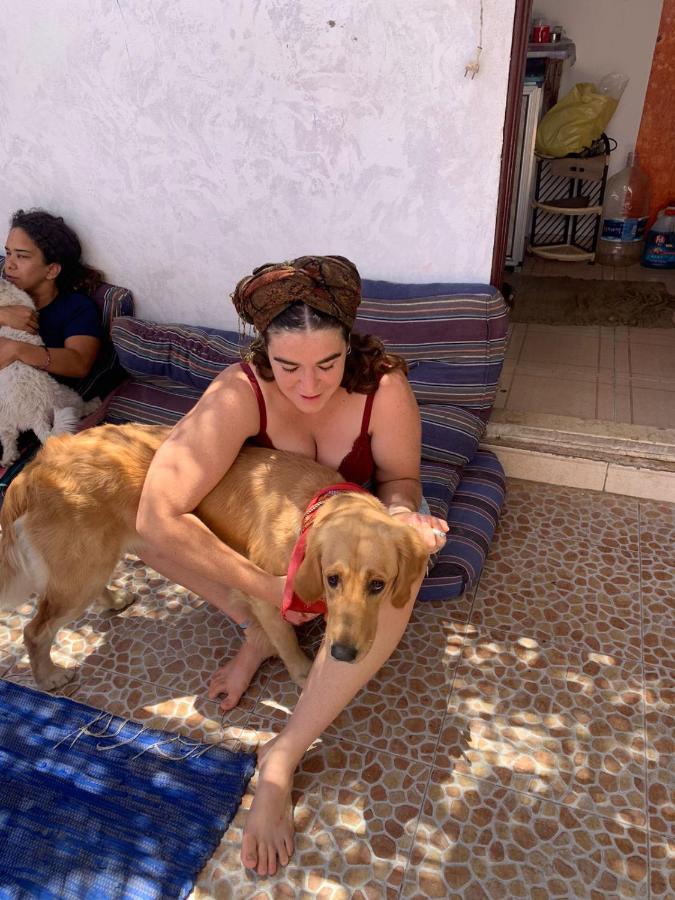Dahab Tribe Guest House Экстерьер фото